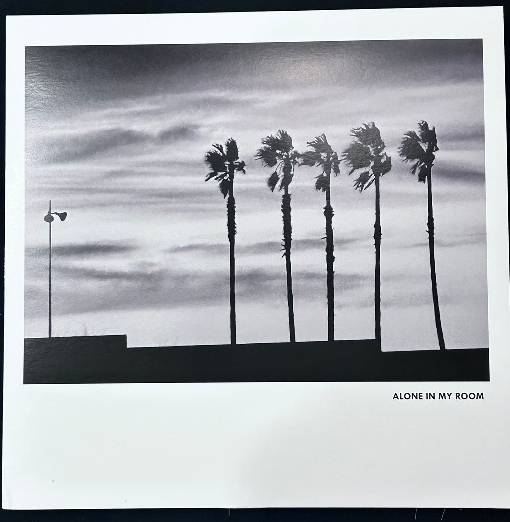 ALONE IN MY ROOM 2026 LP