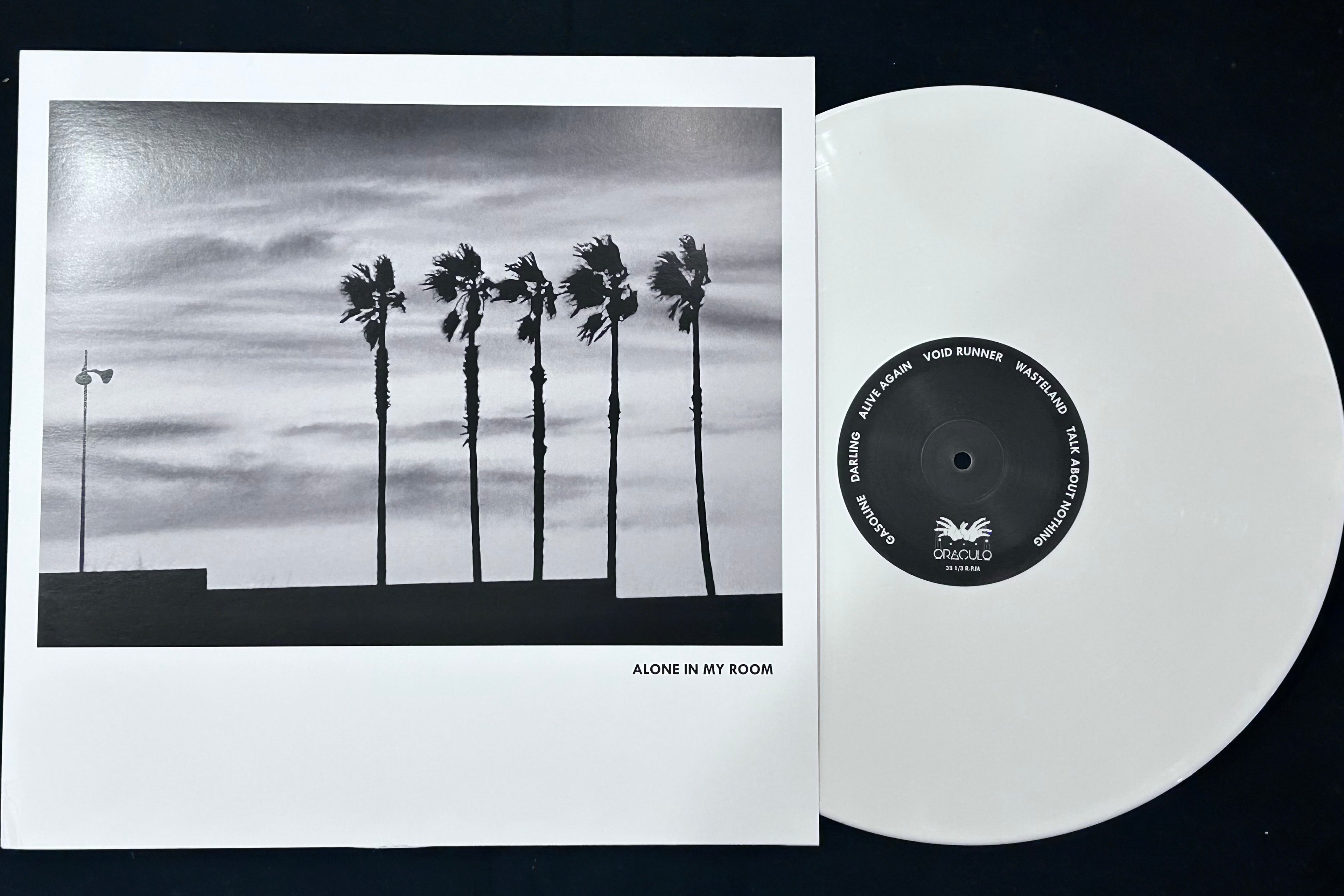 ALONE IN MY ROOM 2026 LP